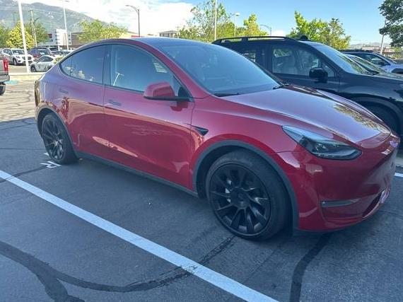 TESLA MODEL Y 2023 7SAYGAEE1PF923045 image